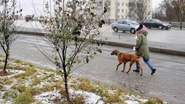 Небольшой снег и ветер: какой будет погода в выходные